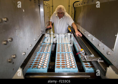 A worker inspects egg shaped moulds on the production line for Cadbury Creme Eggs in Bournville. Stock Photo
