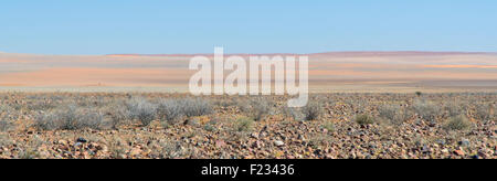 Namib desert colors from route D826 Stock Photo