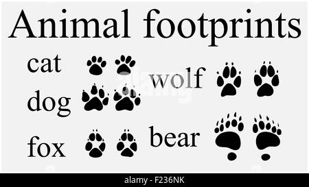 Set of animal  trails, footprints with name isolated on white background. silhouettes vector illustration Stock Photo