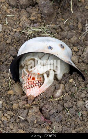 Skull with a US military Regulation Helmet on Stock Photo