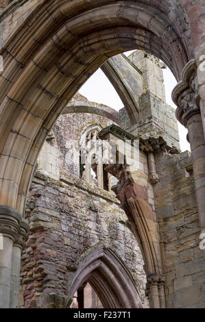 The ruins of the gothic monastery St. Mary's Abbey, Historic Scotland's Melrose Abbey, Melrose, Scottish Borders, Scotland, U.K. Stock Photo