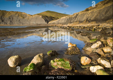 Low tide at Chapman's Pool near Worth Matravers in the Isle of Purbeck on Dorset's Jurassic Coast, England, UK Stock Photo