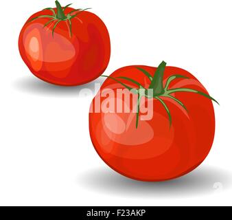 Set of Two Beautiful Glossy Red Tomatoes over White Background. Cute Icons Suitable For Creating Food, Fall, Thanksgiving Day, Harvest Day Designs. Vector Illustration. Stock Vector