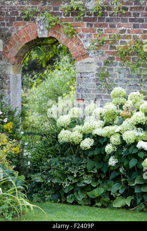 Classical herbaceous border in a walled Garden Stock Photo