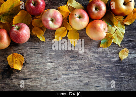 Close up photograph of a colorful fall backdrop Stock Photo