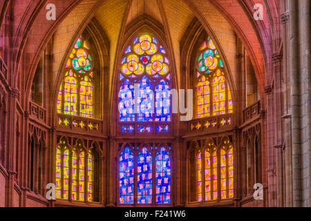 Cathedral  Saint Cyr and Sainte Julitte, Nevers, Nievre, France Stock Photo