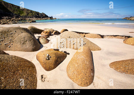 Weathered granite boulders on the beach at Porthmeor Cove, on Cornwall's North Coast, UK, with limpets and barnacles. Stock Photo