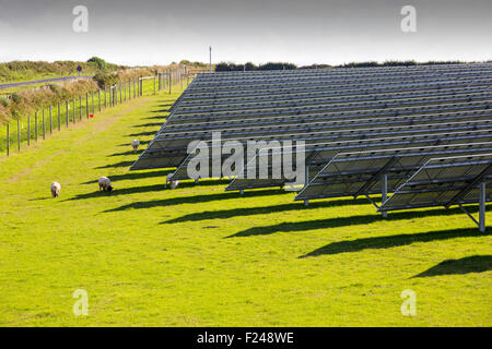 A farm based solar plant near wadebridge, Cornwall, UK, Stock Photo