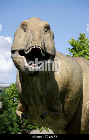 Dinosaurier (Tyrannus Saurus Rex), Frankfurt am Main Stock Photo - Alamy