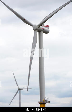 The first 6 Mega Watt wind turbine to be installed in the world, at Gunfleet Sands offshore wind farm is owned and operated by Dong energy. It consists of 48 turbines off Brightlingsea in essex, UK, and has a capacity of 172 MW, enough to power 125,000 homes Stock Photo