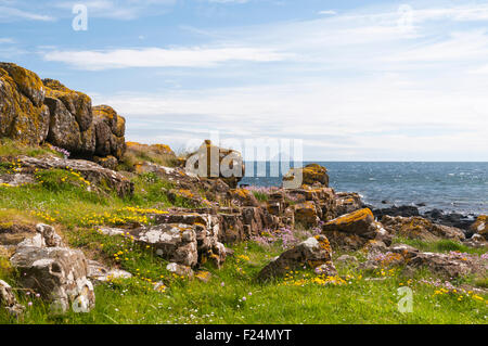 Looking from the Kildonan shoreline towards Ailsa Craig in the Firth of Clyde, Scotland Stock Photo