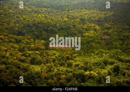 Rainforest aerial, Secondary forest, and land cleared for small-scale agriculture in the traditional sustainable 'chacra' system Stock Photo