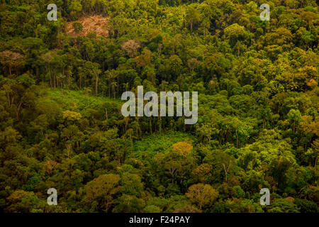 Rainforest aerial, Secondary forest, and land cleared for small-scale agriculture in the traditional sustainable 'chacra' system Stock Photo