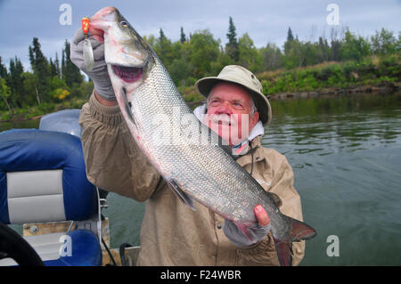 Alaska's Aniak River and its braids offer great fishing for sheefish in their southern-most range in the world. Stock Photo