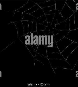 spider web detailed vector illustration - white threads over white Stock Vector