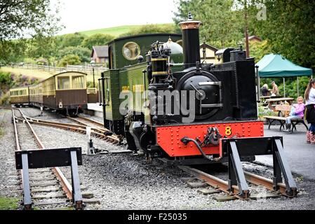 The Vale of Rheidol Railway (Welsh: Rheilffordd Cwm Rheidol) is a 1 ft 11 3⁄4 in (603 mm) narrow gauge heritage steam railway Stock Photo