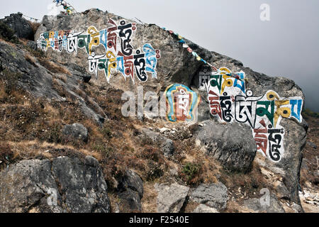 Buddhist mantras and sacred writings on stones surroundings Namche Bazaar village in Solokhumbu Nepal Stock Photo