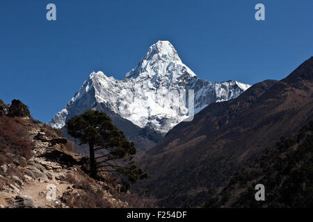 Majestic Amadablam mountain in background seen in Khumbu region Everest valley Sagarmatha National Park Nepal Stock Photo
