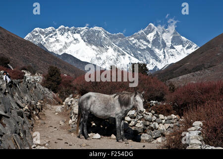 Majestic mountain ridge as seen in Dingboche surroundings Lhotse and Nuptse peaks in Khumbu region Everest valley Nepal Stock Photo