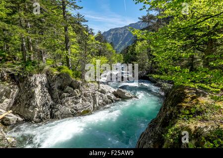 France, Hautes Pyrenees, Cauterets, stream betwen Cauterets and Pont d'Espagne, Parc National des Pyrenees (Pyrenees National Park) Stock Photo