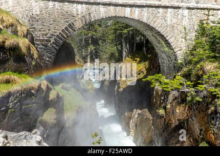 France, Hautes Pyrenees, Cauterets, the Pont d'Espagne, Waterfall, Parc National des Pyrenees (Pyrenees National Park) Stock Photo