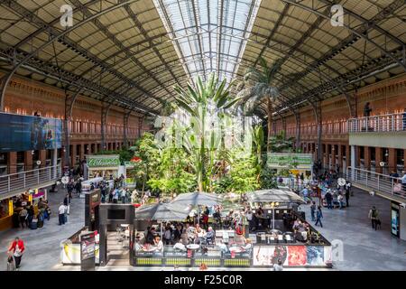 Spain, Madrid, Atocha station in the late nineteenth century when in 1992 the architect Raphael Moneo installs a 4000 m▓ garden with 7000 trees and plants in the former train hall Stock Photo