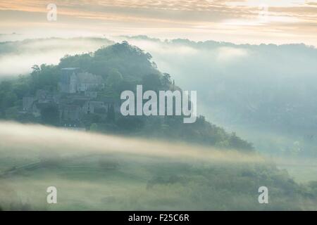France, Dordogne, Perigord Noir, Dordogne Valley, Vezac, Marqueyssac castle with its Jardin α la Francaise of topiaries in the morning fog (aerial view) Stock Photo