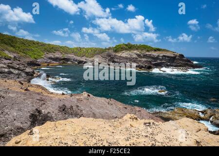 France, Martinique, Caravelle Nature Reserve, Caravelle peninsula Stock Photo