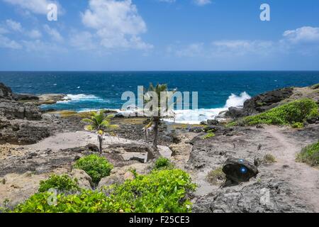 France, Martinique, Caravelle Nature Reserve, Caravelle peninsula Stock Photo