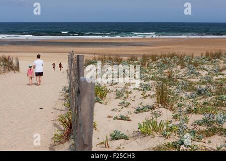 France, Landes, Moliets et Maa, the beach Stock Photo