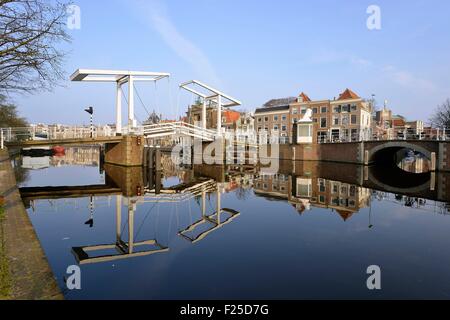 Netherlands, Northern Holland, Haarlem, Spaarne river with Teylers museum and Grote Kerk Stock Photo