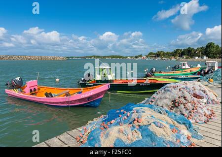France, Guadeloupe (French West Indies), Basse Terre, Sainte Rose, the harbour Stock Photo