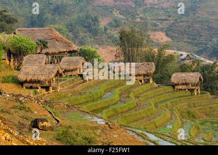 Vietnam, Yen Bai province, Mu Cang Chai District, La Pan Tan, paddy field Stock Photo