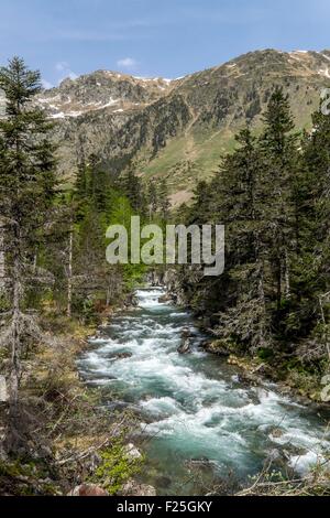 France, Hautes Pyrenees, Cauterets, Marcadeau valley, Parc National des Pyrenees (Pyrenees National Park) Stock Photo