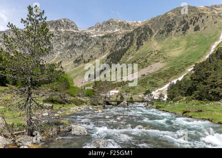 France, Hautes Pyrenees, Cauterets, Marcadeau valley, Parc National des Pyrenees (Pyrenees National Park) Stock Photo