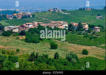 Italy, Lombardy, Oltrepo Pavese vineyard, Montu Stock Photo