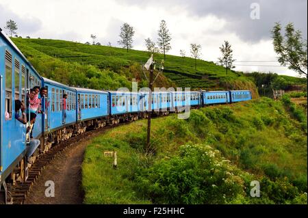 Sri Lanka, Central Province, the popular scenic train ride through the tea growing hill country between Hatton and Badulla, here next to Nanuoya Stock Photo