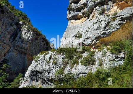 France, Alpes-de-Haute-Provence, Parc Naturel Regional du Verdon, the Verdon Gorge below the village of Rougon and the Point Sublime Stock Photo