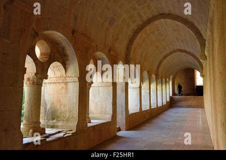 France, Var, the Thoronet cistercian abbey, the cloister Stock Photo