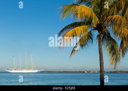 Cuba, Cinefuegos province, Cienfuegos, cruise ship in Cienfuegos bay from Punta Gorda Stock Photo