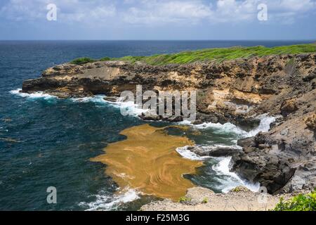 France, Martinique, Caravelle Nature Reserve, Caravelle peninsula Stock Photo