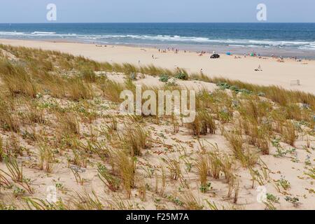 France, Landes, Moliets et Maa, dunes Stock Photo