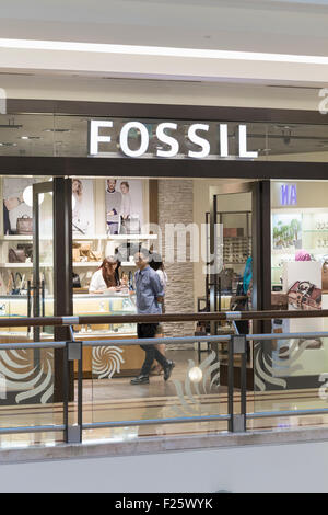 Fossil store sign Stock Photo - Alamy