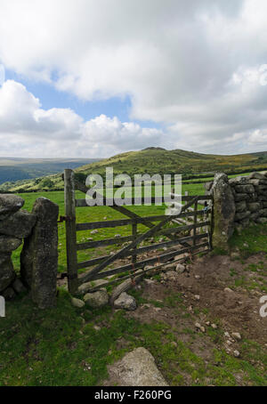 wooden gate in stone wall dartmoor national park haytor Stock Photo