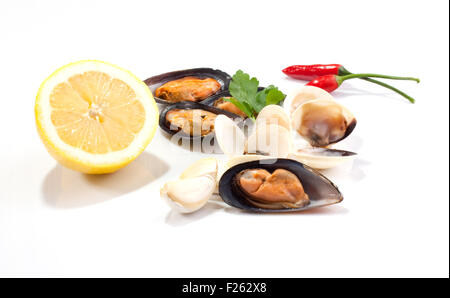 Mussels and clams on white background