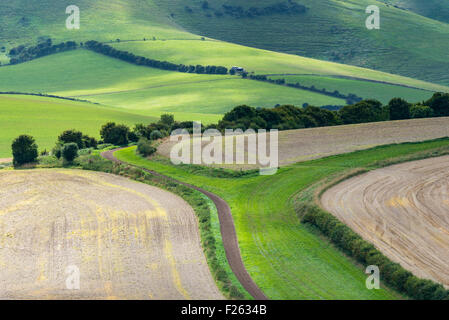 View across rolling fields of the South Downs in Sussex, close to the county town of Lewes. Stock Photo