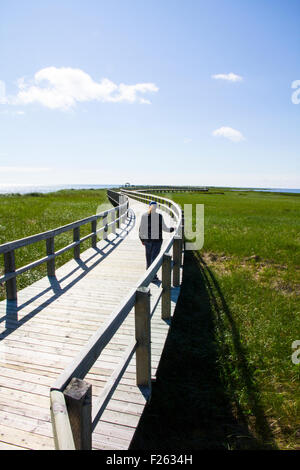 The boardwalk leading across a portion of La dune de Boutouche at the Irving Eco-Centre, New Brunswick, Canada Stock Photo