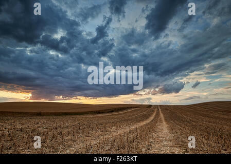 Storm Clouds Gather Over A Field Of Stubble Stock Photo