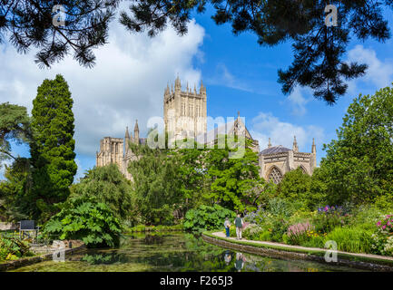 Wells Cathedral from the gardens of the Bishop's Palace with the moat in the foreground, Wells, Somerset, England, UK Stock Photo