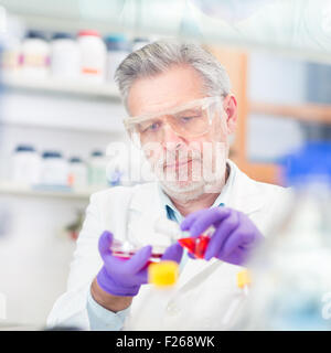Life scientist researching in the laboratory. Stock Photo